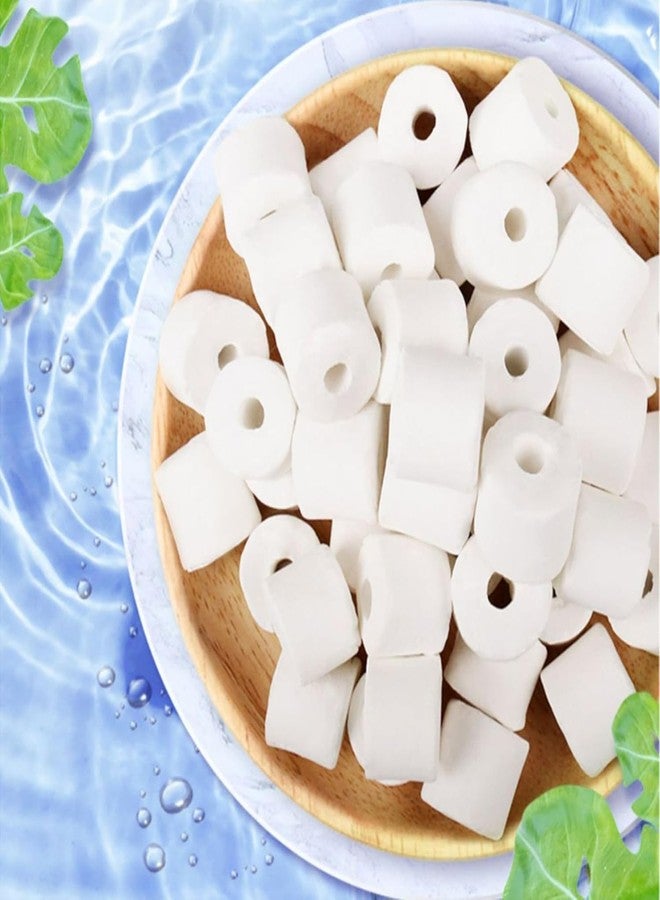 TED TABBIES Ceramic Ring Filter Media for Aquarium | 500g + Free NET Pouch - Image 3